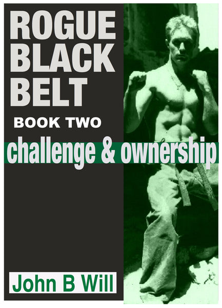 Rogue Black Belt: Book 2 : Challenge and Ownership